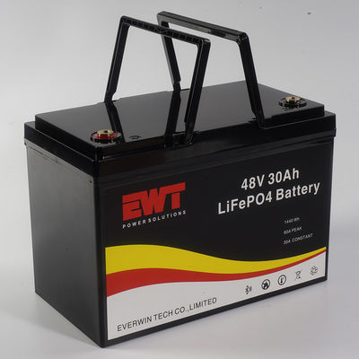 Op maat gemaakte LifePo4 batterijen 48V 30ah 1000w voor E-bike batterijpakket