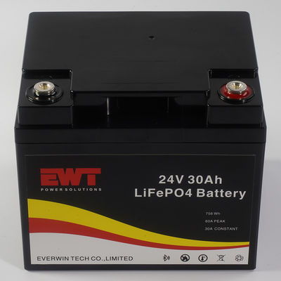 Rechargeable Lithium Iron Phosphate Battery 24V 30AH LiFepo4 Battery Cell