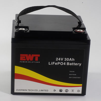 Lifepo4 Portable Battery Pack 24V 30AH With Bluetooth Can