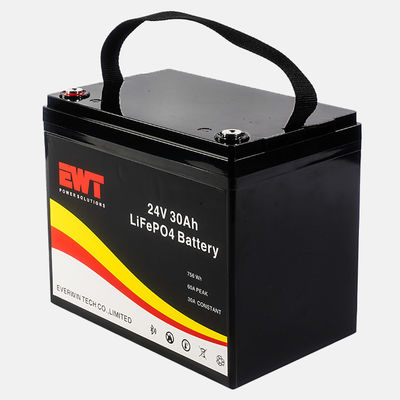 Environmentally Friendly 24V Lithium Iron Phosphate Battery with Affordable Cost and High Energy Density